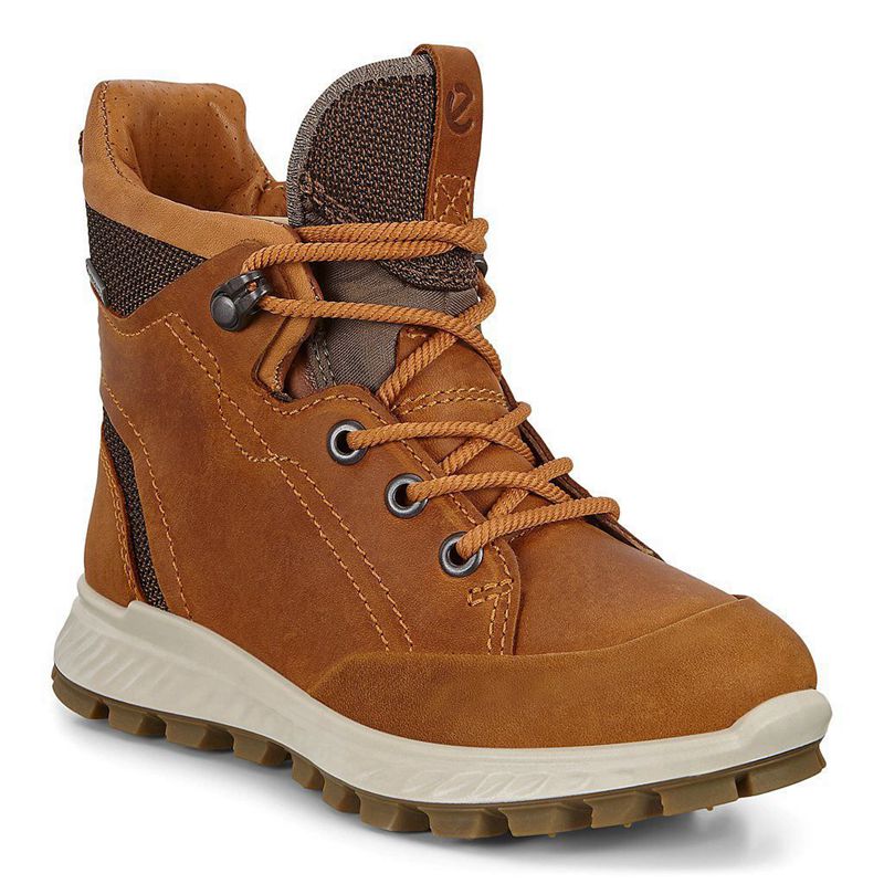 Kids Ecco Exostrike - Boots Brown - India ZVULDF259